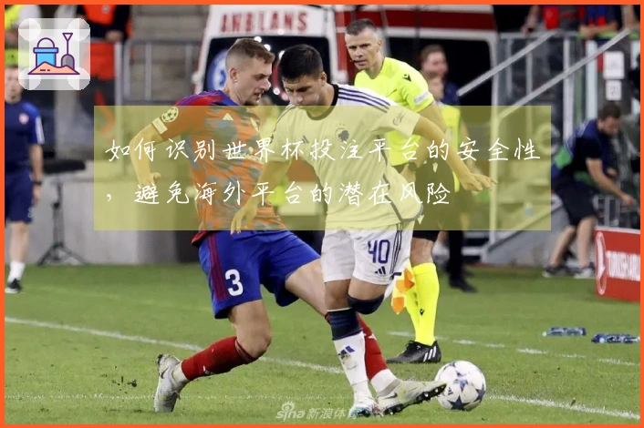 如何识别世界杯投注平台的安全性，避免海外平台的潜在风险